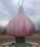 گالری تصاویر