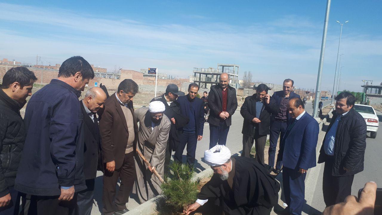 گالری تصاویر