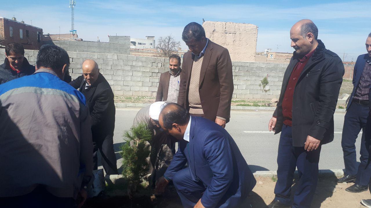 گالری تصاویر