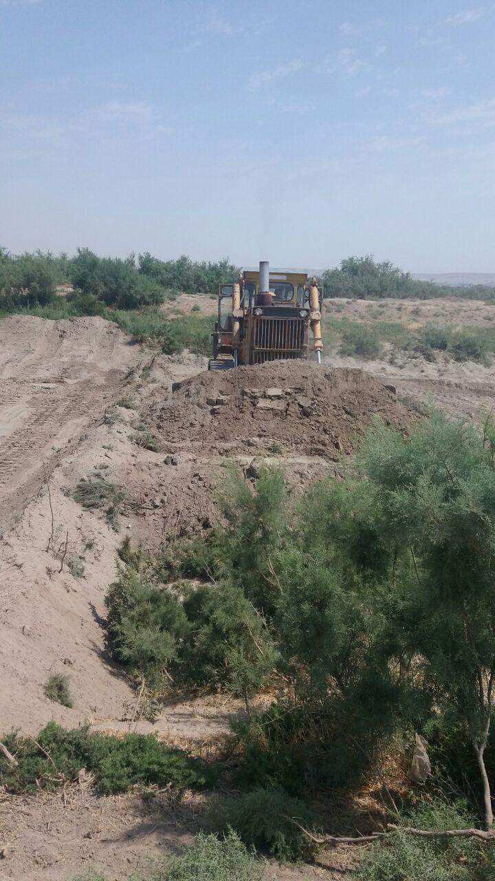 شهرداری تیمورلو,تیمورلو